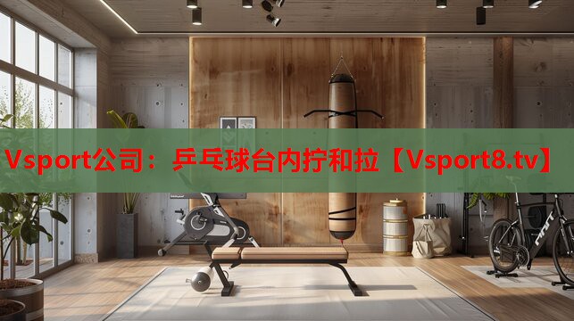 Vsport公司：乒乓球臺內(nèi)擰和拉