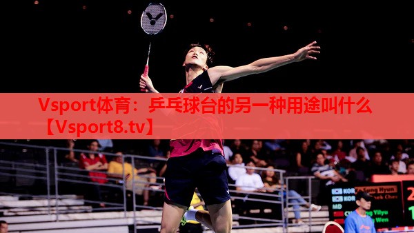 Vsport體育：乒乓球臺(tái)的另一種用途叫什么