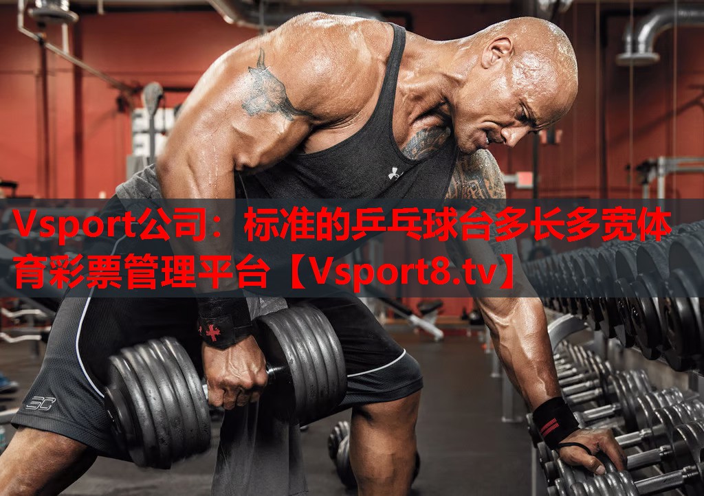 Vsport公司：標準的乒乓球臺多長多寬體育彩票管理平臺