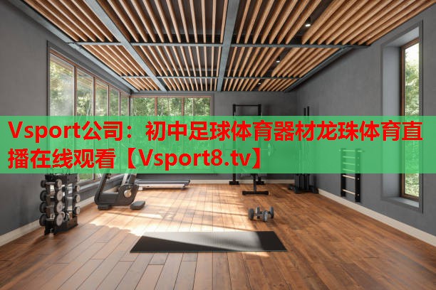 Vsport公司：初中足球體育器材龍珠體育直播在線觀看