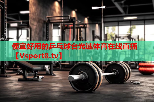 便宜好用的乒乓球臺光速體育在線直播