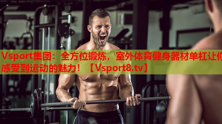 Vsport集團(tuán)：全方位鍛煉，室外體育健身器材單杠讓你感受到運(yùn)動(dòng)的魅力！