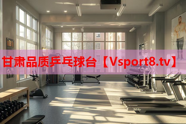 甘肅品質(zhì)乒乓球臺(tái)